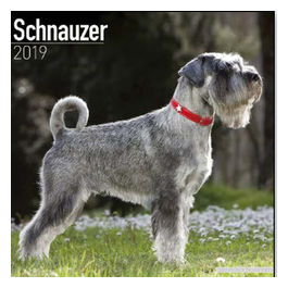 Calendari con cani da guardia e da difesa 30,5 x 30,5 cm 