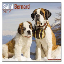 Calendari con cani da guardia e da difesa 30,5 x 30,5 cm 