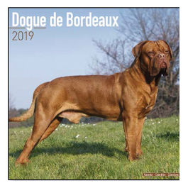 Calendari con cani da guardia e da difesa 30,5 x 30,5 cm 