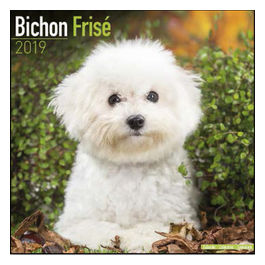 Calendari con cani di piccola taglia e cuccioli 30,5 x 30,5 cm 