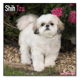 Calendari con cani di piccola taglia e cuccioli 30,5 x 30,5 cm 