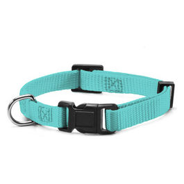 Collare per cani in Nylon con clip di chiusura in plastica L - 2,5 cm|Circonferenza 48-63 cm Acquamarina