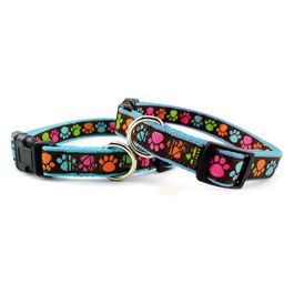 Collare per cani in Nylon linea Zampine S - 1,9 cm|Circonferenza 45-50 cm Azzurro