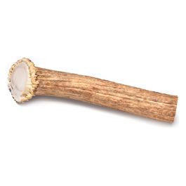 Corna di cervo Anima Selvaggia S - (76-151 g) 