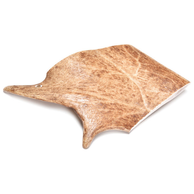 Record Corna di daino Anima Selvaggia L - (151-220 g)