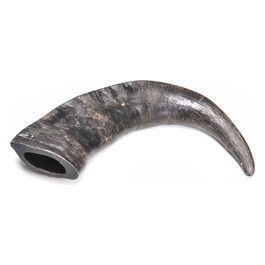 Corni di bufalo da masticare per cani Anima Selvaggia M - (15  x 8 x 3h cm) 