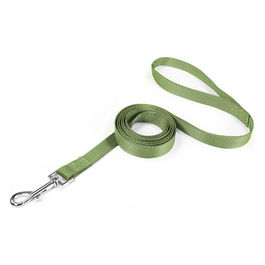 Guinzaglio per cani in nylon Basic XL - 2,5 cm|Lunghezza 100 cm Verde