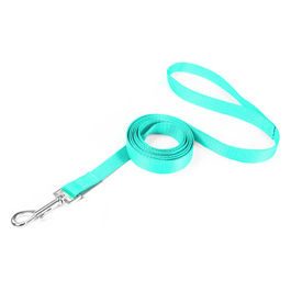 Guinzaglio per cani in nylon Basic XS - 1,6 cm|Lunghezza 100 cm Acquamarina