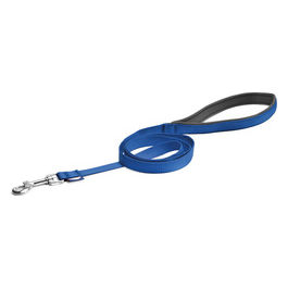 Guinzaglio per cani in Nylon con maniglia in neoprene S - 1,5 cm|Lunghezza 120 cm Blu