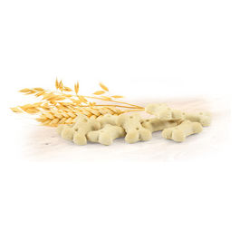 Mini Mela biscotti alla mela per cani Biscodog 10 kg 