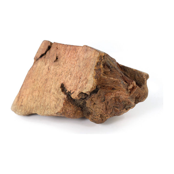 Record Radice di erica per cani Anima Selvaggia L - 300-500 g Marrone