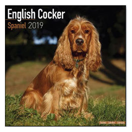   CALENDARI * COCKER  