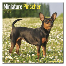   CALENDARI * PINSCHER  