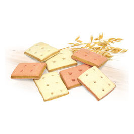 Sandwich carne e pesce biscotti per cani Biscodog 400 g 