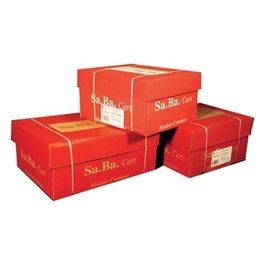 (5ba) Carta in Modulo Continuo 37.5x11'' 60gr