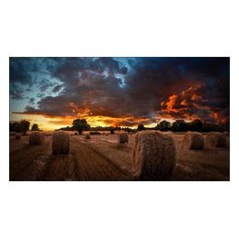 monitor Vm55b-u per Videowall 55