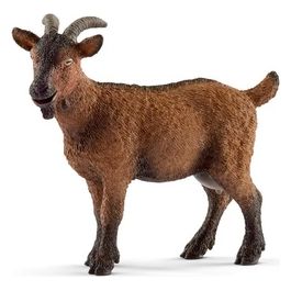 2513828 - Capra