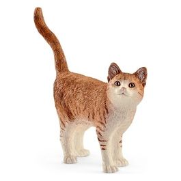 2513836 - Gatto