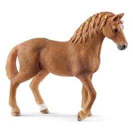 2513852 - Giumenta Quarter Horse