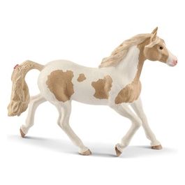 2513884 - Horse Club - Giumenta Paint Horse