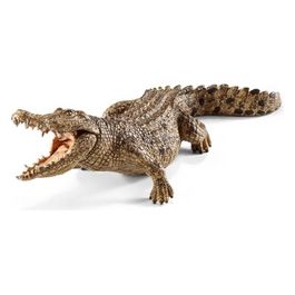 2514736 - Coccodrillo