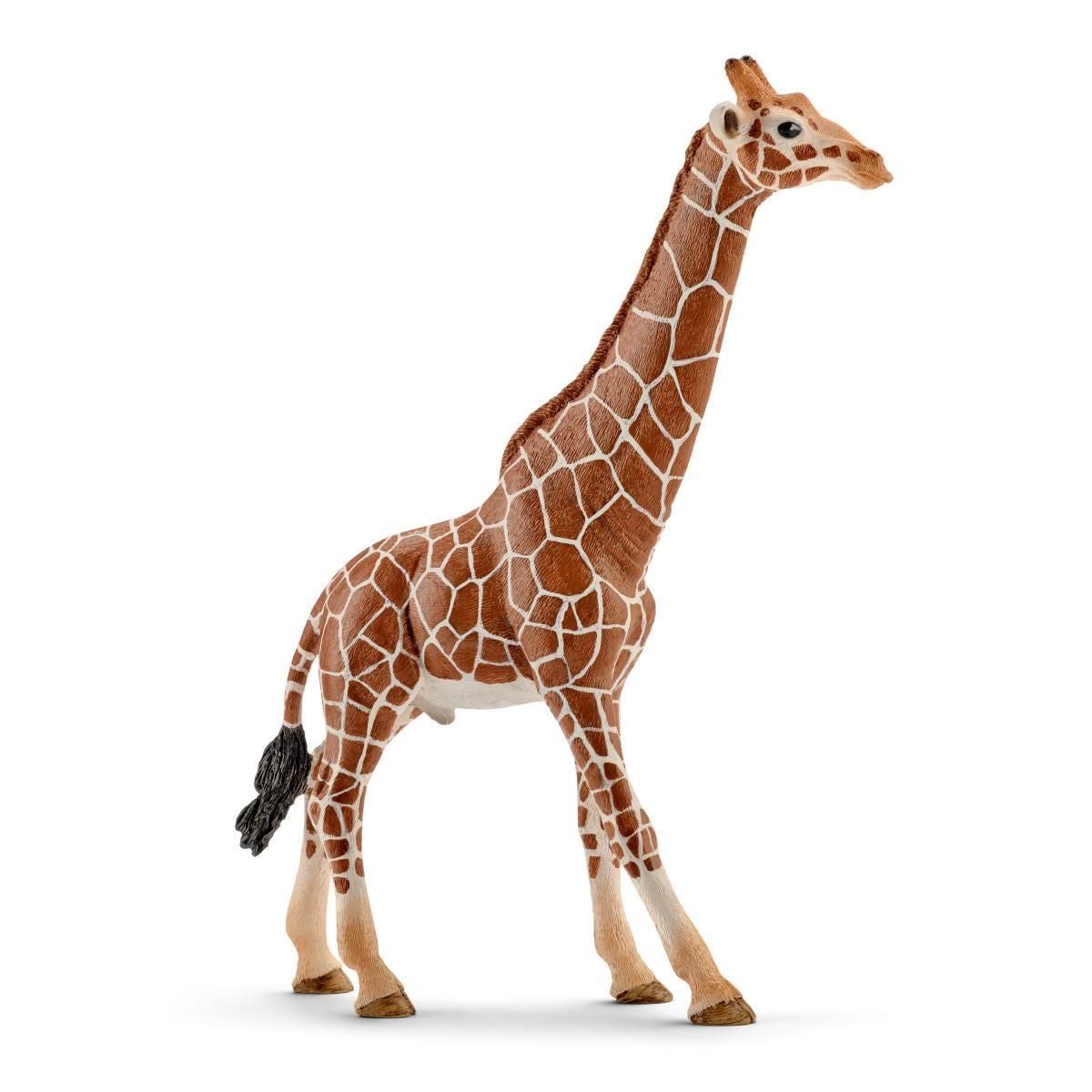 Schleich 2514749 Giraffa Maschio