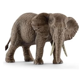 2514761 - Femmina Di Elefante Africano