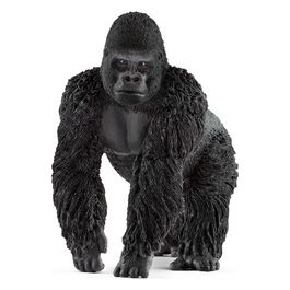 2514770 - Gorilla Maschio