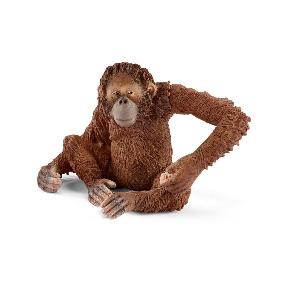 Schleich 2514775 Orangotango Femmina