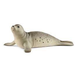 2514801 - Foca