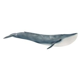 2514806 - Balenottera Azzurra