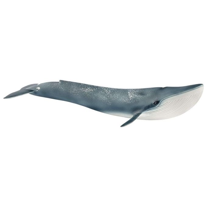 Schleich 2514806 - Balenottera Azzurra