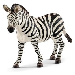 2514810 - Giovane Femmina Di Zebra