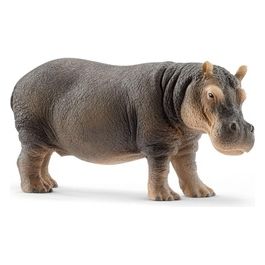 2514814 - Ippopotamo