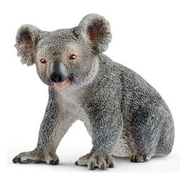 2514815 - Koala