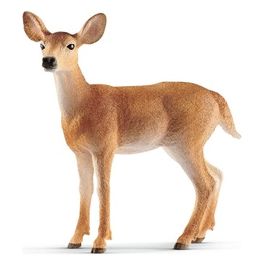 2514819 - Wild Life - Femmina Di Cervo Virginiano
