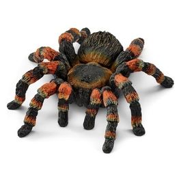 2514829 - Wild Life - Tarantola