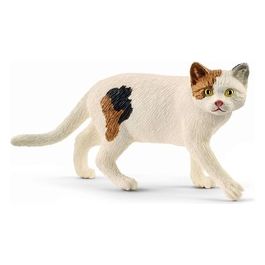 Farm World Gatto Americano a Pelo Corto