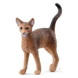 Gatto Abissino