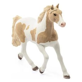 Giumenta Paint Horse