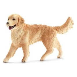 Golden Retriever Femmina