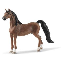 Horse Club Castrone American Saddlebred