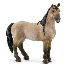 Horse Club Criollo Definitivo Cavalla