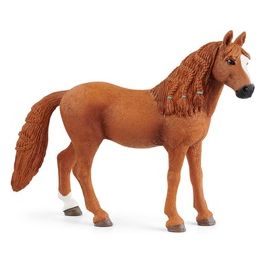 Horse Club German Riding Pony Mare