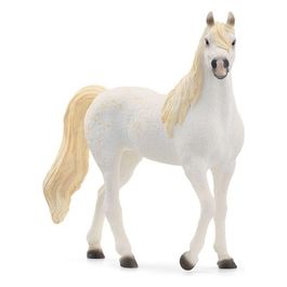 Horse Club Giumenta Araba