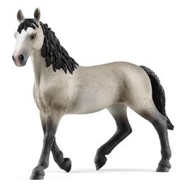 Horse Club Giumenta Cheval de Selle Francais