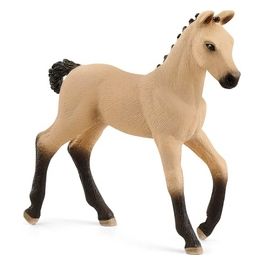 Horse Club Hanoverian Foal Dun