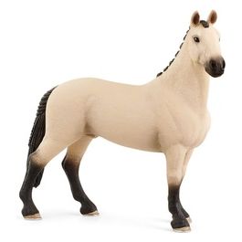 Horse Club Hanoverian Gelding Dun