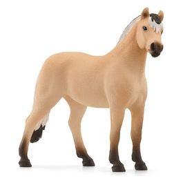 Horse Club Norwegian Fjord Horse Gelding