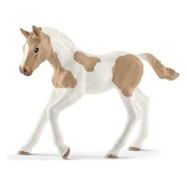 Horse Club Puledro Paint Horse